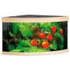 Akvárium set JUWEL Trigon LED 350 l dub