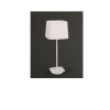 Max-light T0032
