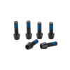 Ritchey šroub do představce Superlogic C260 Replacement Bolt Set 7ks