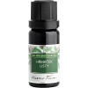 Nobilis Tilia Klinček listy 10 ml