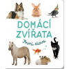 Domácí zvířata První slova