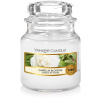 YANKEE CANDLE Camellia Blossom 104 g