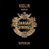 Jargar Superior violin SET