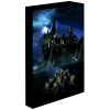 Harry Potter – Rokfort, 30 × 40 cm – LED svietiaci obraz