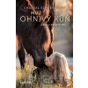 Můj ohnivý kůň – Jízda v polární záři - Chantal Schreiber
