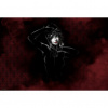Fototapeta na stenu - FT2309 - Catwoman 416cm x 254cm - Vliesová fototapeta
