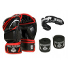 DBX Bushido Arm-2009-Set L rukavice (Detské boxerské rukavice Bushido 6oz)