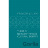There Is No Such Thing as Cultural Identity - Francois Jullien