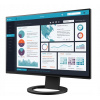 Eizo EV2495