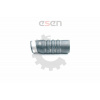 ESEN SKV GERMANY Hadica plniaceho vzduchu, hadica INTERCOOLER 3C0145834L 24SKV075