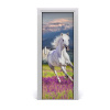 Samolepiace fototapety na dvere biely kôň 75x205