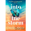 Into the Storm - Cecelia Ahern