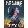 Uchvatitel duší - Briggs Patricia