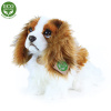 Rappa Plyšový pes king charles spaniel 25 cm
