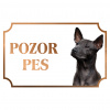 Thajský ridgeback - Kovová tabuľka POZOR PES