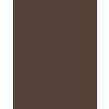 Inebrya Bionic Natural 5/0 Light Chestnut 100 ml