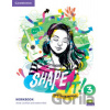 Shape It! 3: Workbook - Annie Cornford