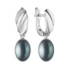 Gaura Pearls Stříbrné náušnice s černou perlou Calista - stříbro 925/1000 SK25100EL/B Stříbrná Černá
