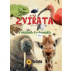 Zvířata v otázkách a odpovědích - autor neuvedený