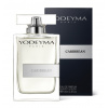 CARIBBEAN / Inšpirovaná CHRISTIAN DIOR - Sauvage .. 100ml (CHRISTIAN DIOR - Sauvage)