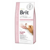 Brit GF veterinary diets dog Hypoallergenic 2 kg