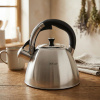 Čajník s píšťalkou ODELO ELIGIO 2 l strieborný