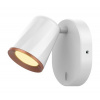 Rabalux SOLANGE LED bodové svietidlo 5045