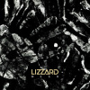 Lizzard - Mesh [CD]