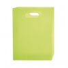 Karton P+P A4 PP Opaline Frosty zelená