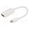 Adaptér DisplayPort 1.2,HDMI 1.3 bilá Vlastnosti Full HD