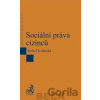 Sociální práva cizinců - Kolektív autorov