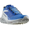 Salomon Sense Ride 5 M L47311800 - ibiza blue/lapis blue/white 46 2/3