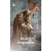 Svatý Augustin - Theodore Tack