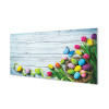 Nástenný panel Eggs tulipány motýľ 100x50 cm