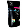 Maximus Platinum 20-20-20 15kg Univerzálne hnojivo (Maximus Platinum 20-20-20 15kg Univerzálne hnojivo)