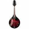 Stagg M50 E