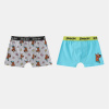 Character Boxer Briefs for Boys Scooby Doo 3-4 roky