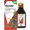 SALUS Haus Dr.med.Otto Greither Nachf. GmbH & Co. SALUS Floradix - 1x250 ml