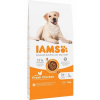IAMS Dog Adult Large Chicken 12 kg