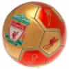 Fan-shop Lopta LIVERPOOL FC 26 Panel Signature velikost: 5