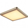 LED stropné svietidlo Globo 41589d2