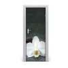 Fototapeta na dvere orchidea 75x205