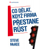Co dělat, když firma přestane růst