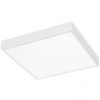 LED stropné svietidlo Rabalux Tartu 7895 (7895) biele