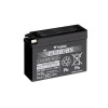 YUASA BATTERY YT4B-BS MF W/ ACID