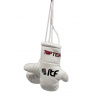 TOP TEN Mini boxing gloves “ITF” - white