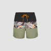 Pánske Šortky O'NEILL CALI BLOCK 15'' SWIM SHORTS 2800072-39033 – Viacfarebné