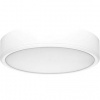 LED stropné svietidlo Rabalux 71244