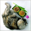 Luxury for Cats
