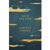 Gun Island